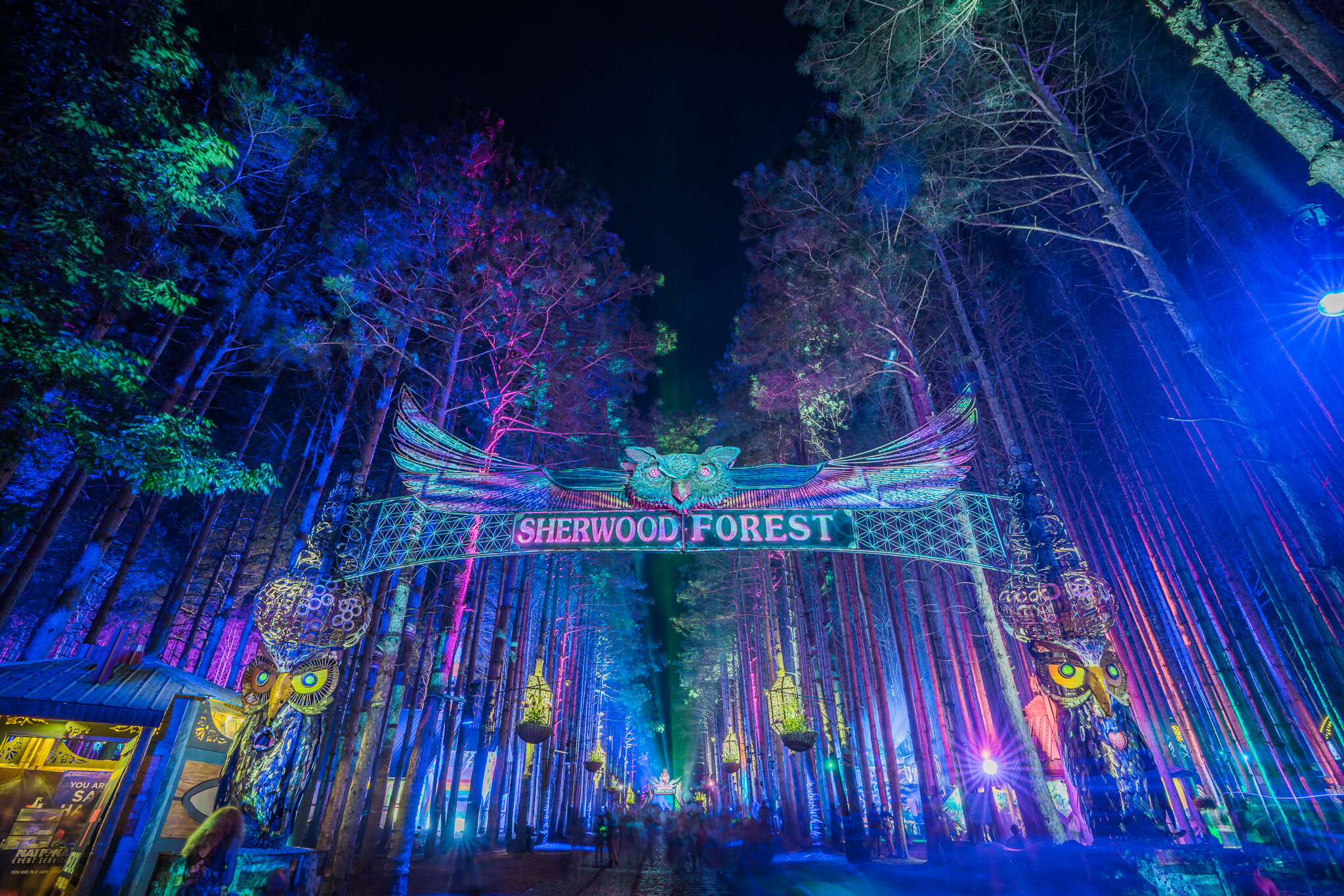 Electric Forest Announces Milestone 10-Year Anniversary 2020 Lineup